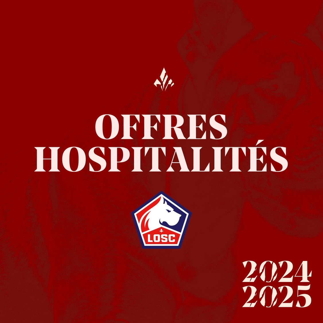 Abonnement Hospitalités LOSC Lille - Saison 2024/2025